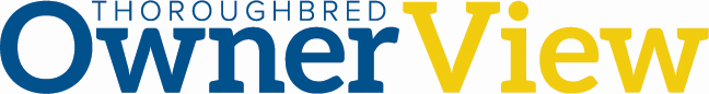 OwnerView Logo